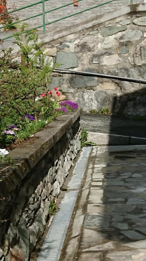 B&B Maison Odille Valtournenche Buitenkant foto